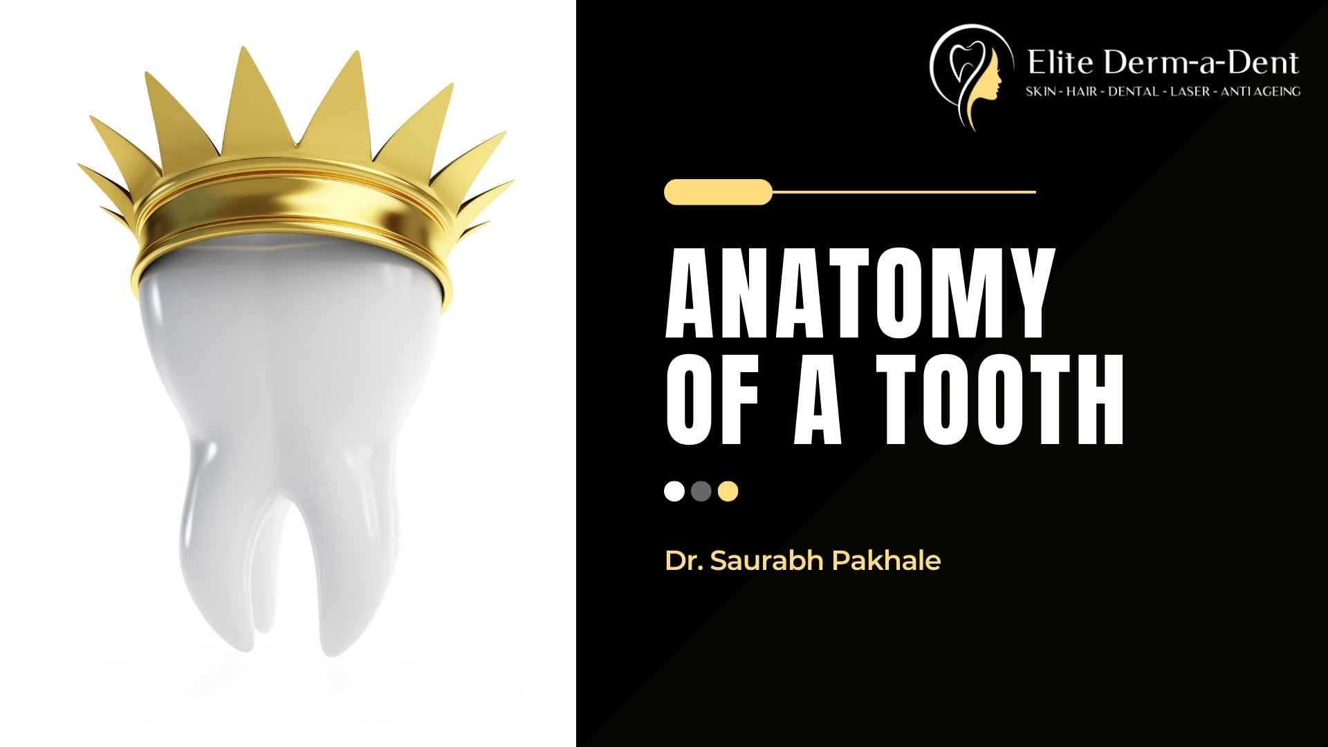 Dr. Saurabh Pakhale Explains Anatomy of a Tooth