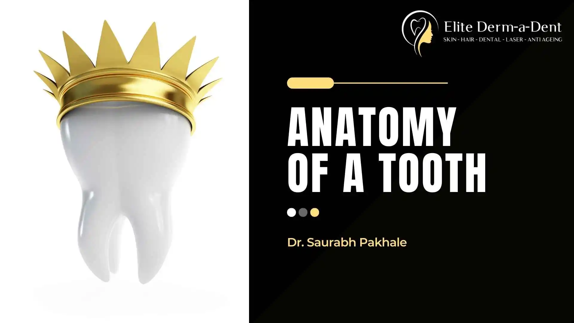 The Anatomy of a Tooth (2024) | Dr. Saurabh Pakhale