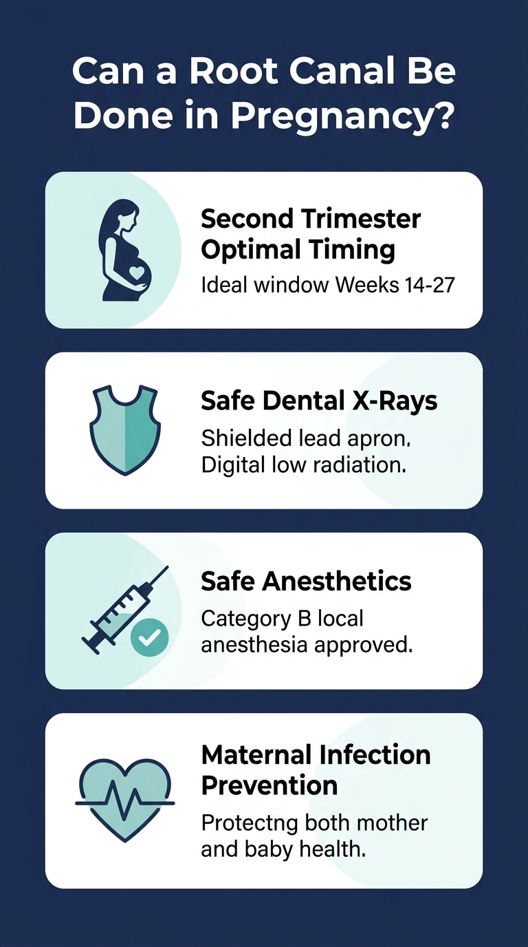 Infographic - Can a Root Canal Be Done in Pregnancy? Safety, Trimester Timing & X-Ray Guide