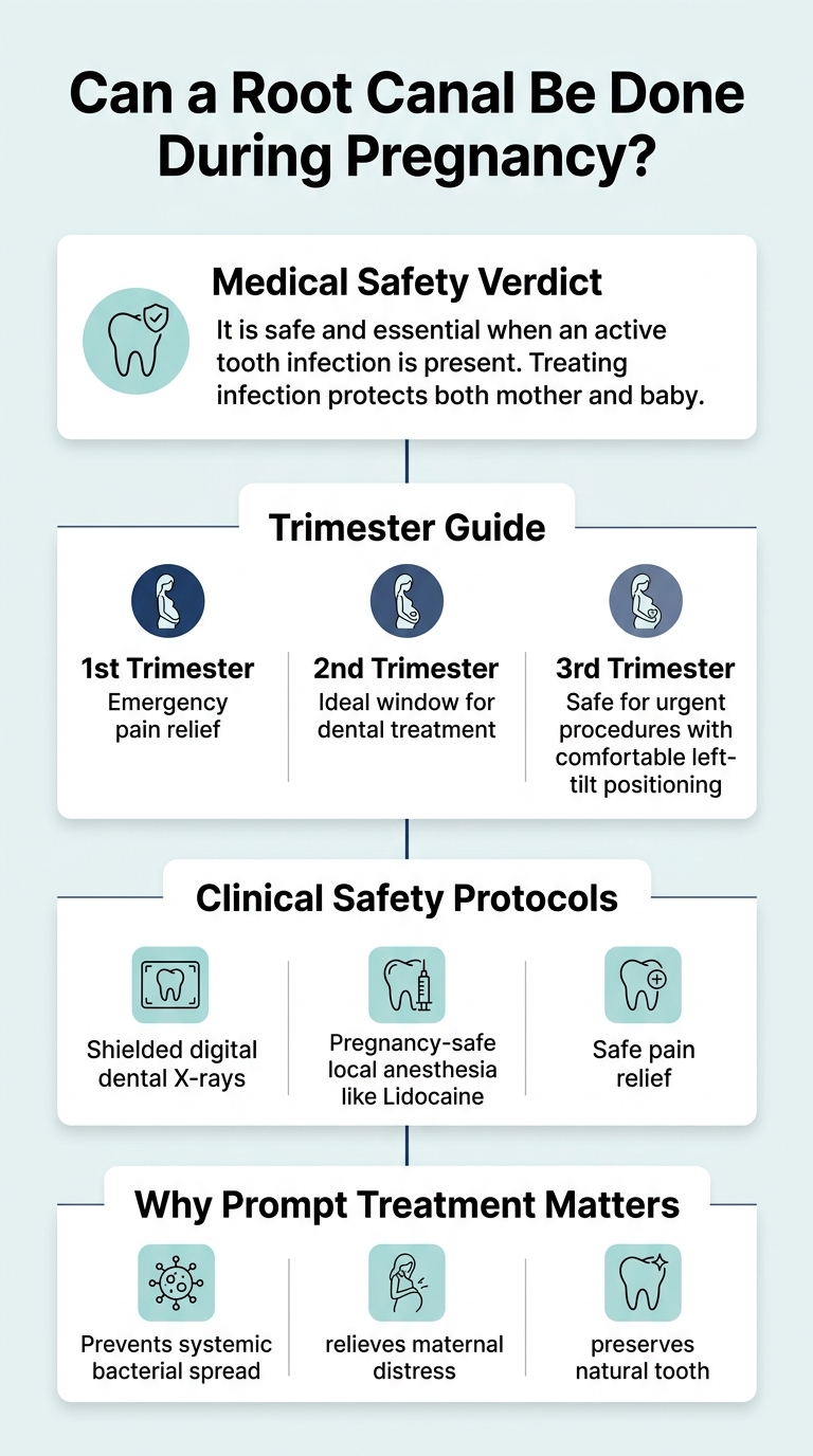 Infographic - Can a Root Canal Be Done During Pregnancy? Safety, Trimesters & Care Guide