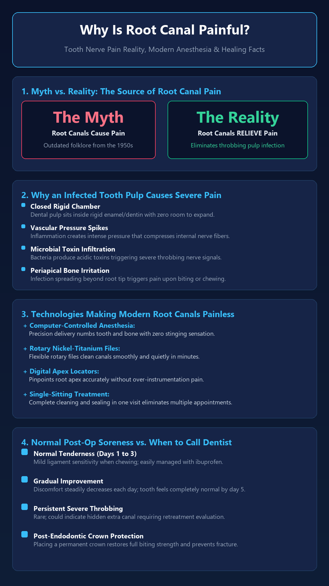 Infographic - Why Is a Root Canal Considered Painful? Tooth Nerve Reality vs. Treatment Facts